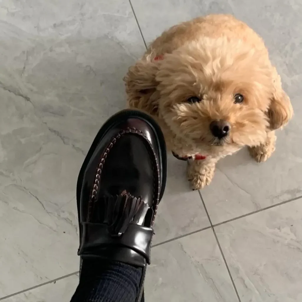 Dr.martens ADRIANのサイズ感の画像9